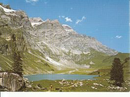 Braunwald 1986