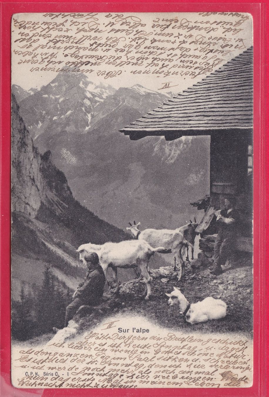 Ansichtskarten: SUR L'ALPE, 21.10.1907 – Gebraucht aus Oberrieden von Gebirgsstelze