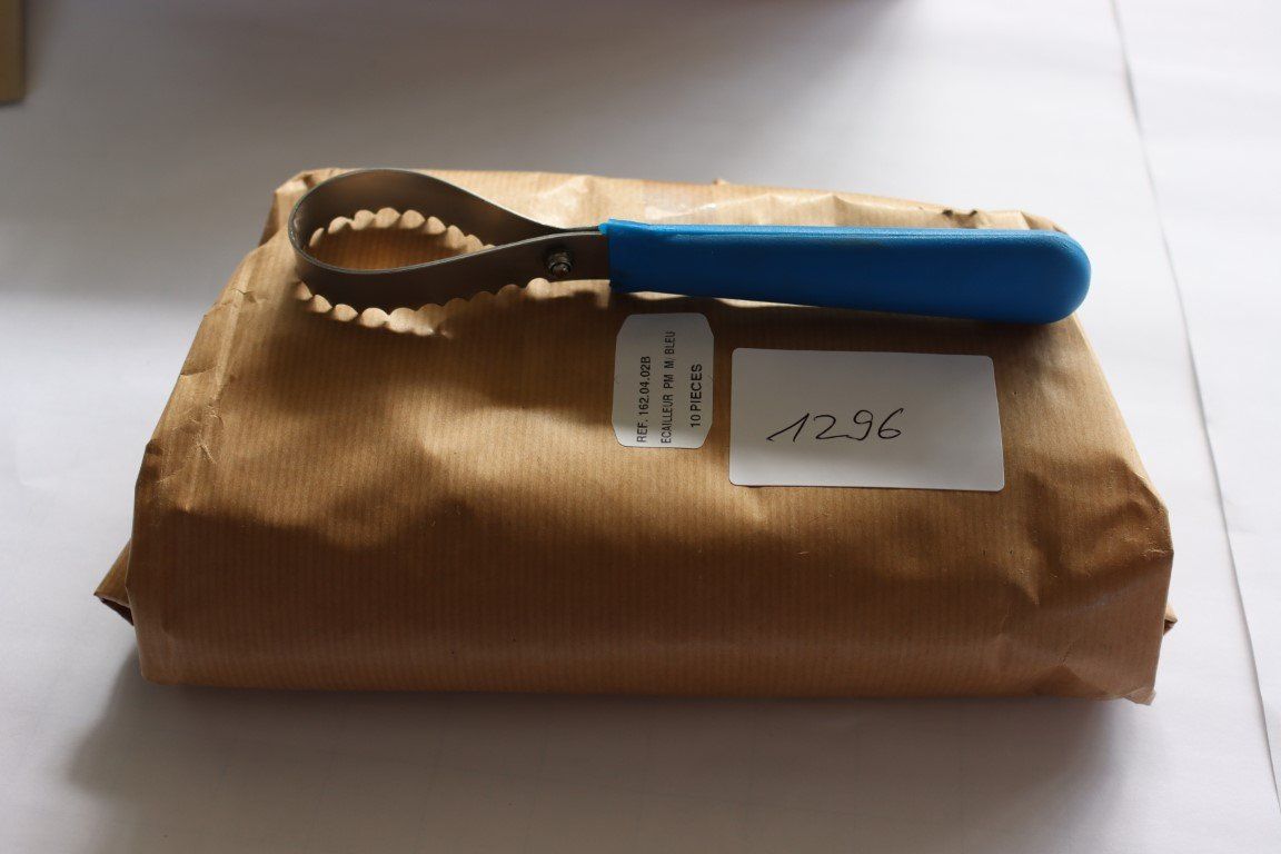 Elettrodomestici da cucina: Fischentschupper (Lot 1296) – Nuovo (secondo la descrizione) da Bäriswil venduto da WWYN-AUKTIONEN 1