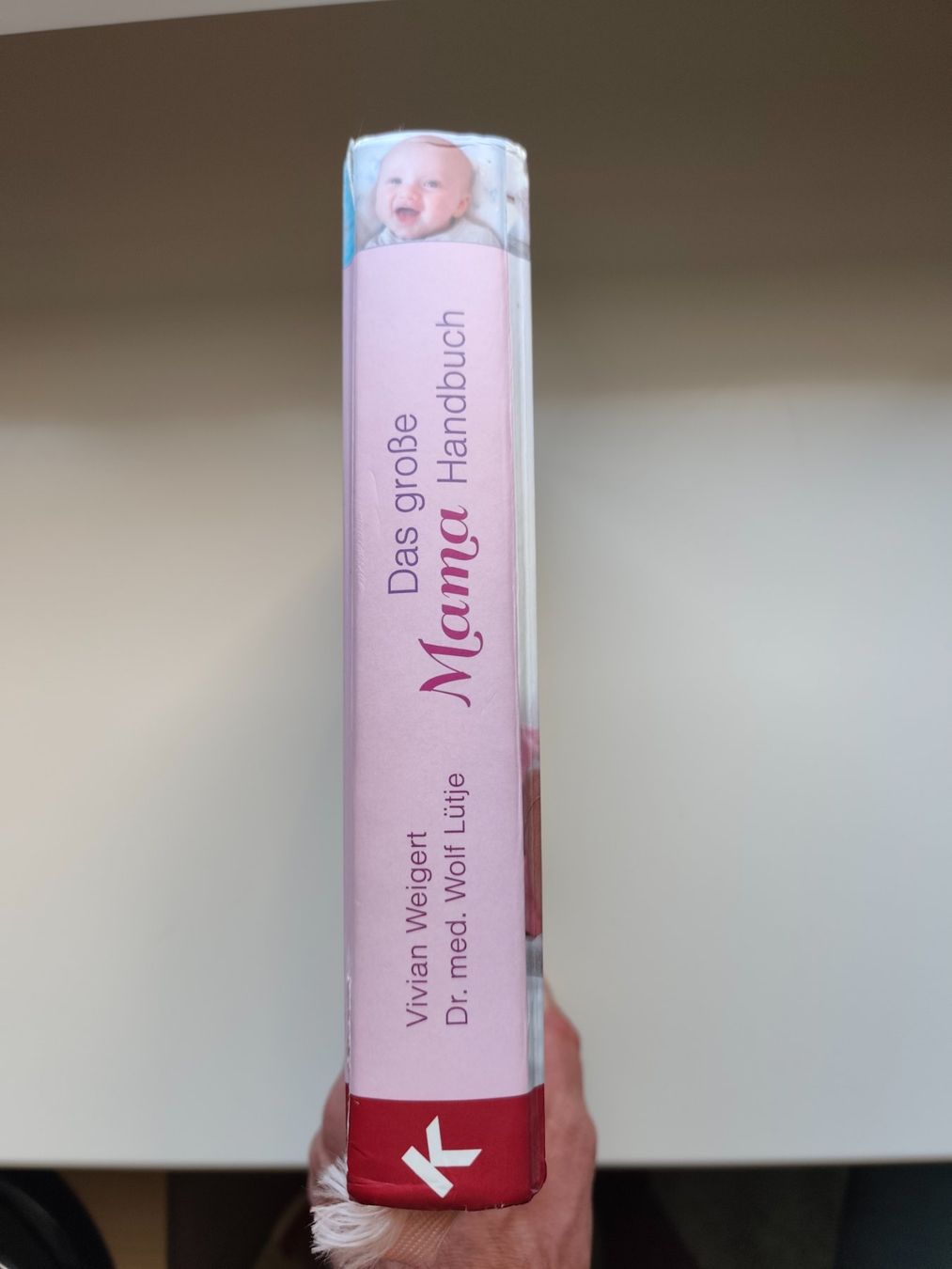 Bücher: Das grosse Mama Handbuch – Gebraucht aus Endingen von Ferguson83 1