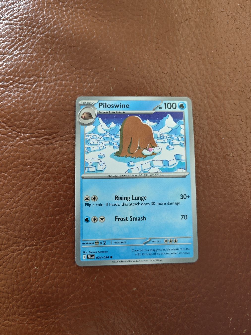 Pokémon Carte collezionabili: Pokémon Piloswine – Usato da Neuchâtel venduto da nbr_z8jr