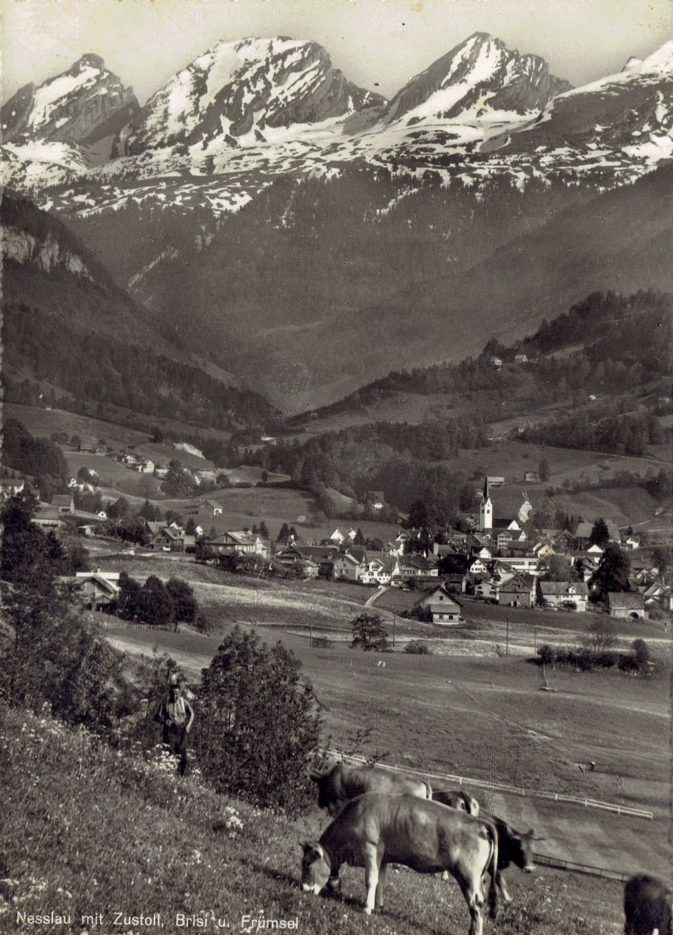 Cartes postales: Nesslau SG, um 1950 – D'occasion à Otelfingen par Schmitte9
