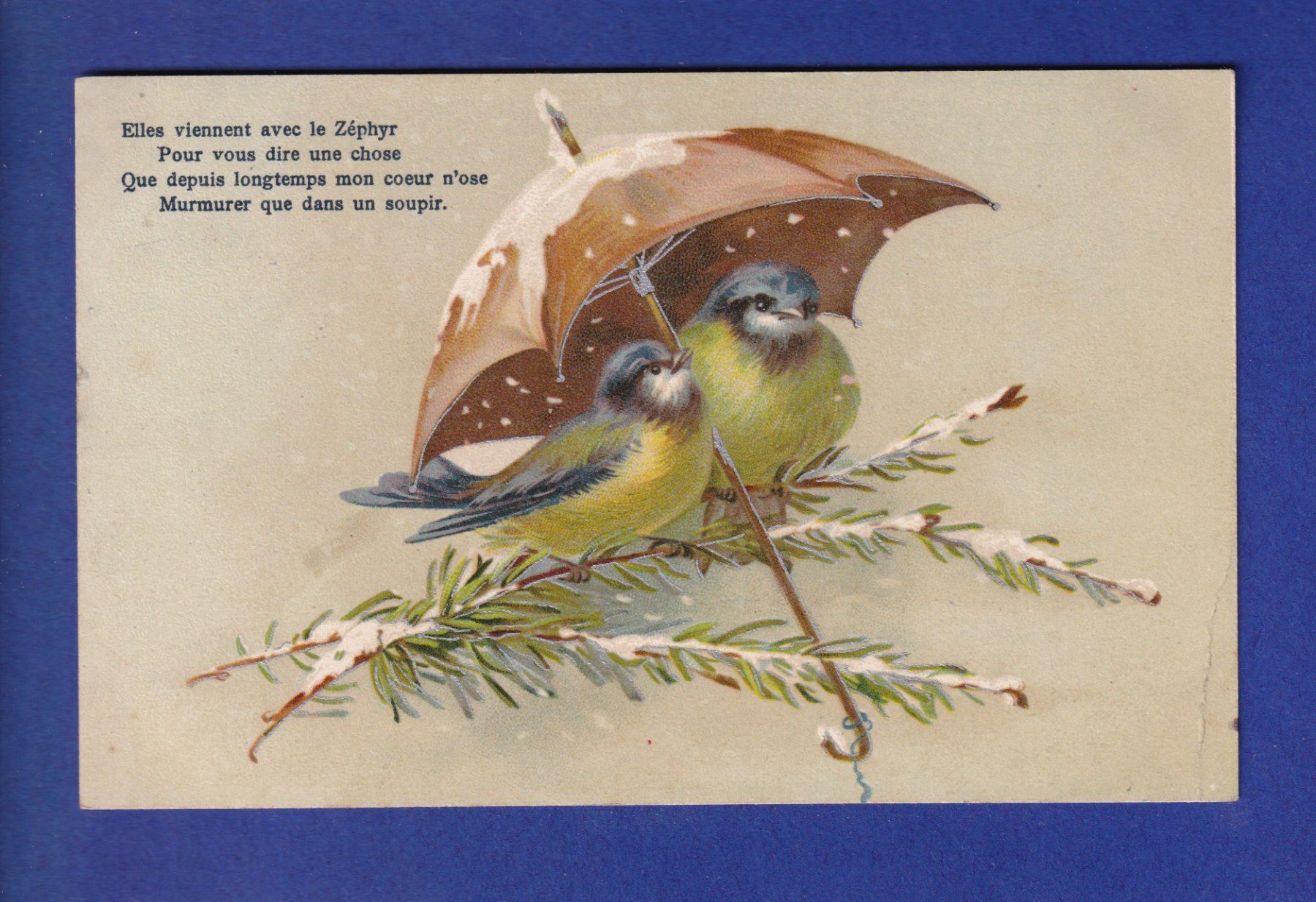 Ansichtskarten: OISEAU - Mésanges sous parapluie // pli // – Gebraucht aus Pully von nicecards-shop