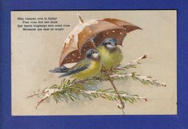OISEAU - Mésanges sous parapluie // pli //