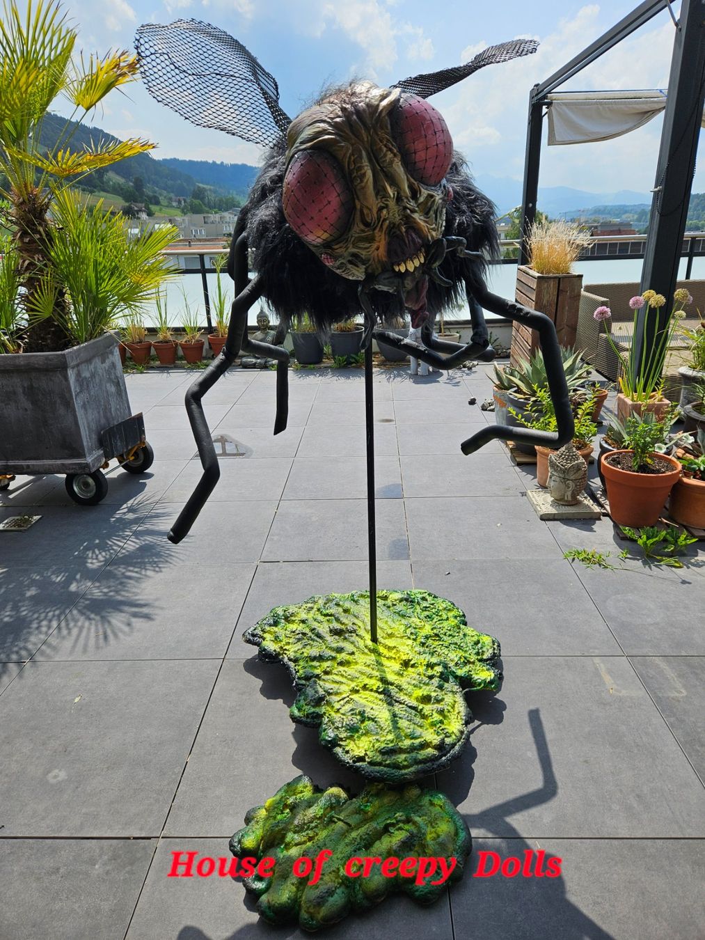 Toutes les décorations: HALLOWEEN 🎃/ HORROR RIESEN FLIEGE – Neuf avec emballage d'origine à Root par LifestyleAccessoires 1