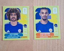 WM- Panini Sticker 2026 Kuwait