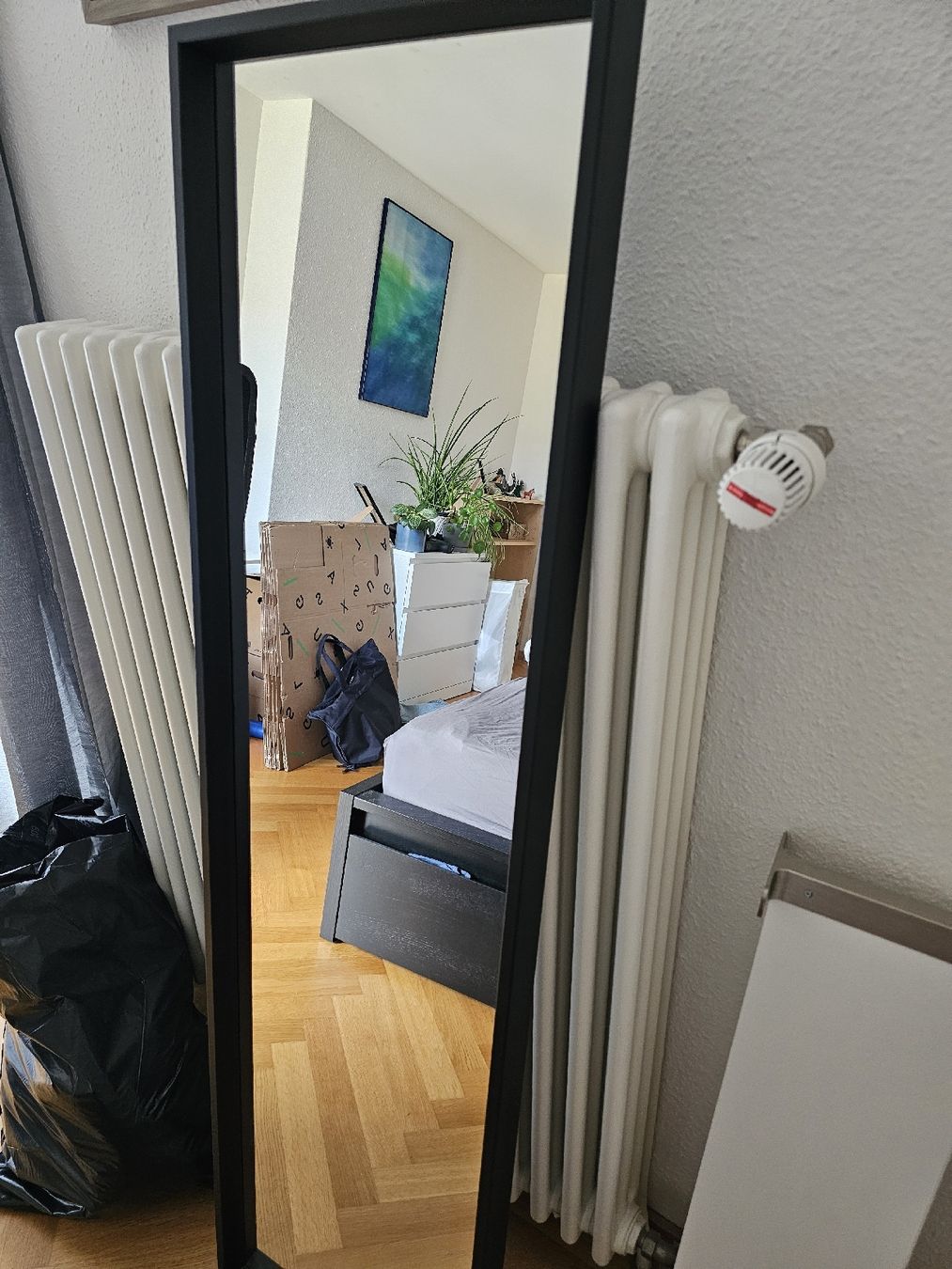 Ikea Specchi: Spiegel Nissedal Ikea – Usato da Zürich venduto da jon_d2cv 1