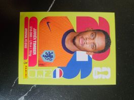 NED 5