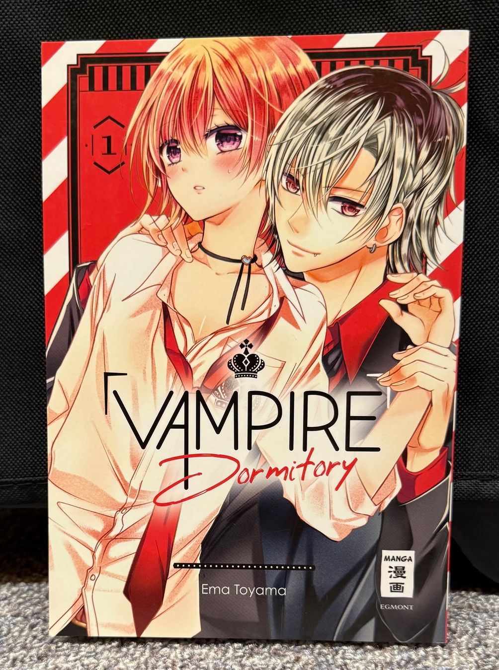 Fumetti: BL Manga: Vampire Dormitory 1-14 – Nuovo (secondo la descrizione) da Triesen venduto da cla_q2js