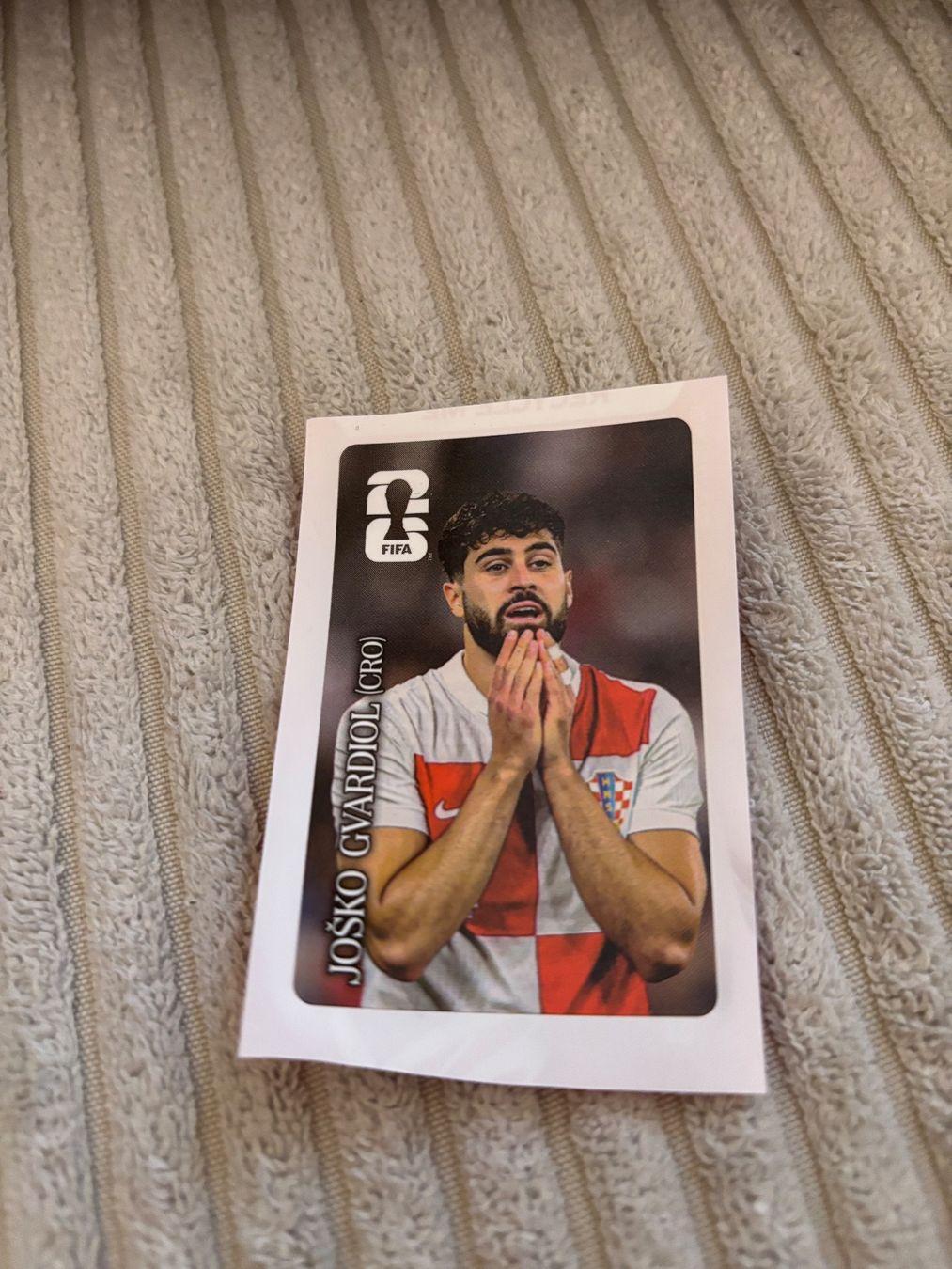 Panini Cartes à collectionner: Panini – D'occasion à Mörschwil par 7Phil