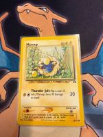 Mareep (NDI 58) - Neo Discovery