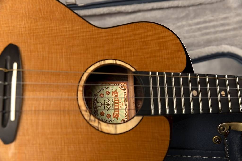 Strumenti musicali: Tenor Ukulele aNueNue Moonbird Cedar – Usato da Zürich venduto da eschebeschl 7