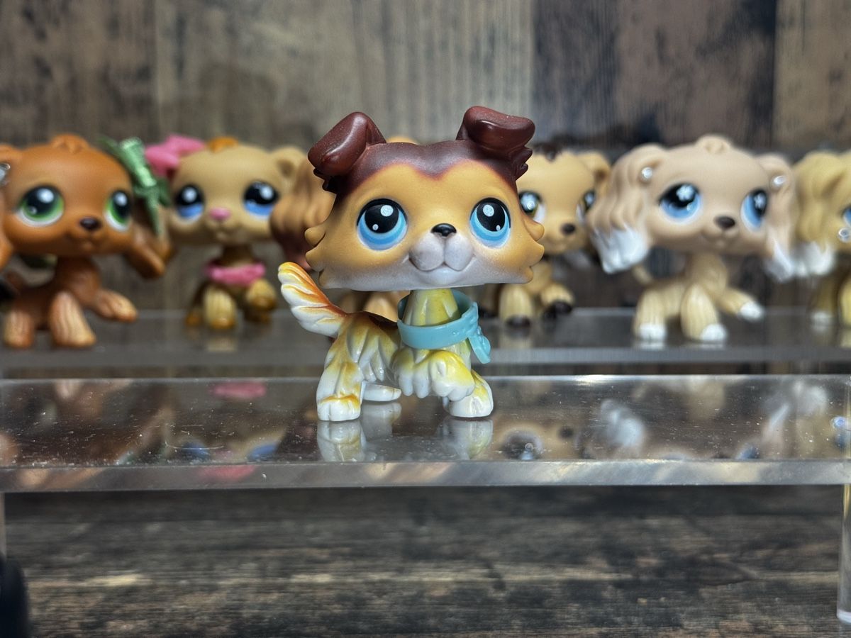 Hasbro Jouets: Littlest pet shop collie – D'occasion à Luzern par Maja.C