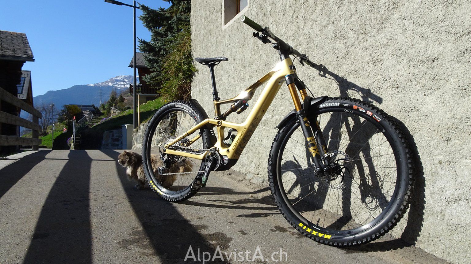 Orbea Biciclette: Orbea Rise LT2 M10 (2025) – Usato da Sarreyer venduto da AlpAvistA 3