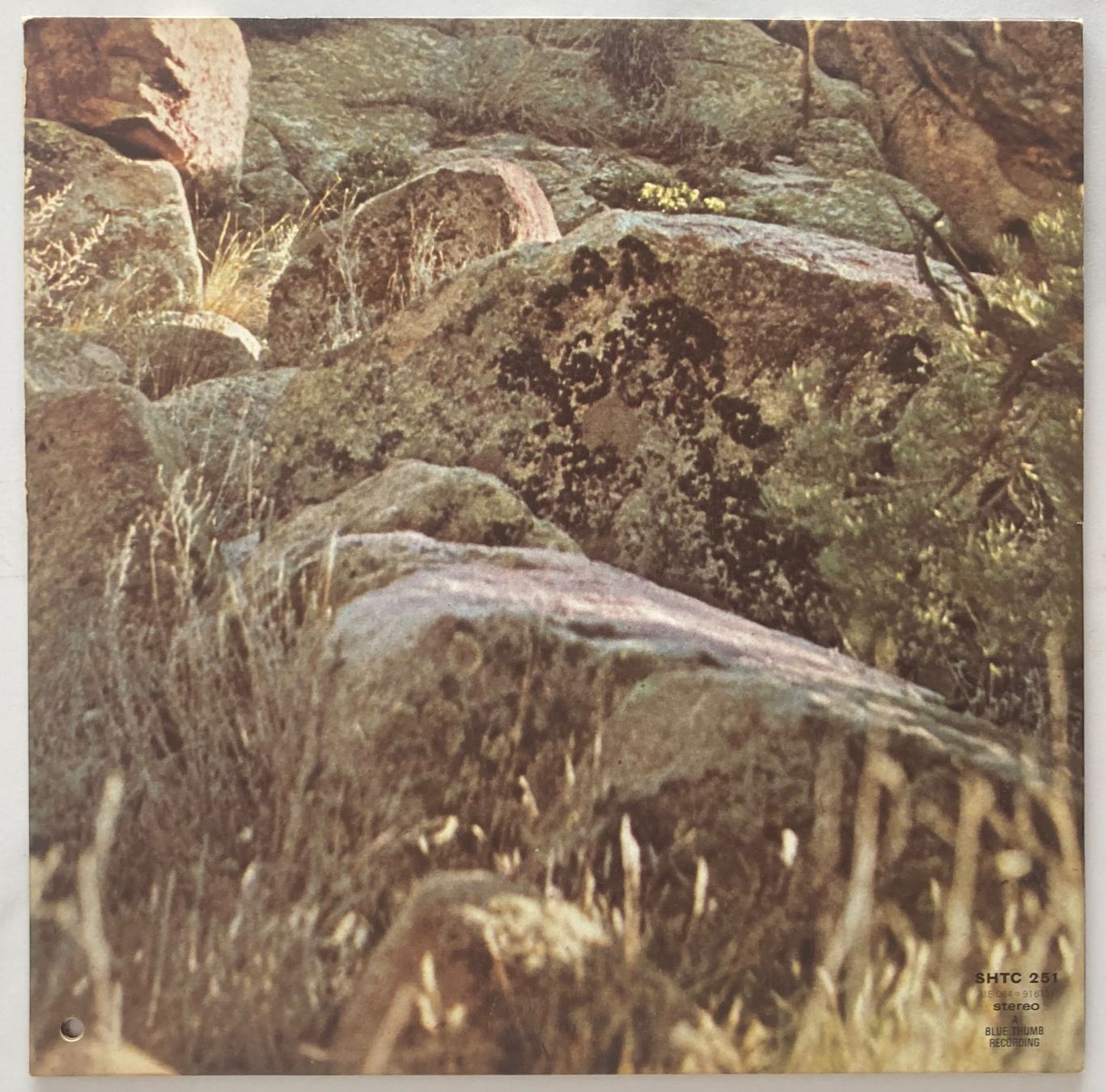 Dischi in vinile: FLEETWOOD MAC / DAVE MASON - ALONE TOGETHER – Usato da Poliez-Pittet venduto da Newtown-Records 1
