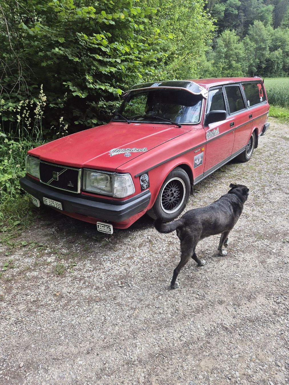 Volvo Automobili: volvo 240 Kombi – Usato da Rümligen venduto da Chaot60 4
