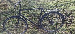 City Velo Creme mit Nexus Nabenschaltung 7gang