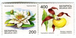 Briefmarken "Orchideen & Seerosen". Weissrussland