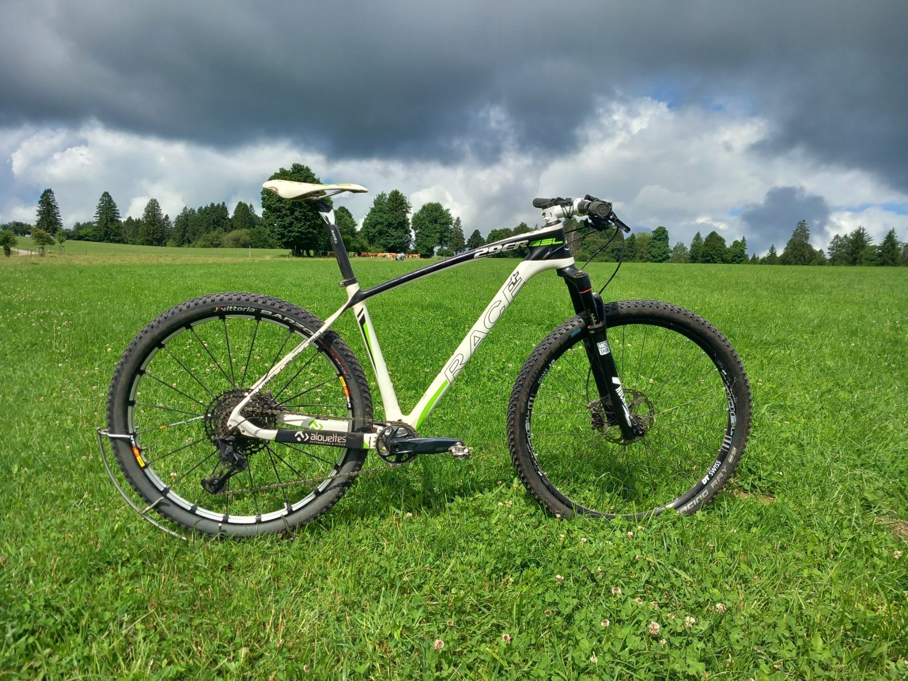 Biciclette: Bike Race SSL carbone – Usato da Tramelan venduto da mic_fnf6
