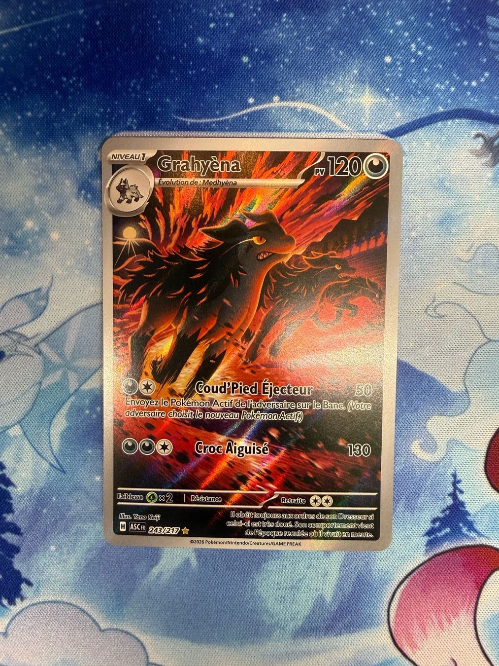 Pokémon Carte collezionabili: Grahyèna AR - ASC 243 FR – Nuovo (secondo la descrizione) da Courgenay venduto da ScamBoxOff