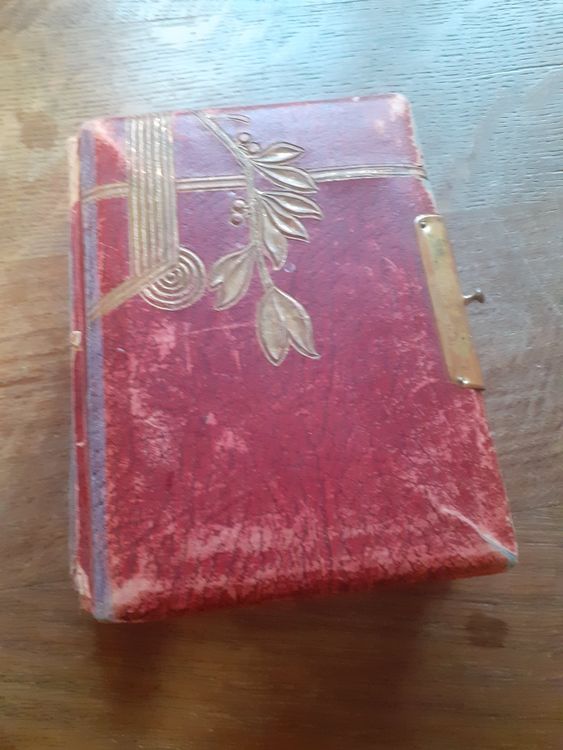 ANTIKES FAMILIEN ALBUM KANTON GLARUS 13 CARTEs de VISITE Kaufen