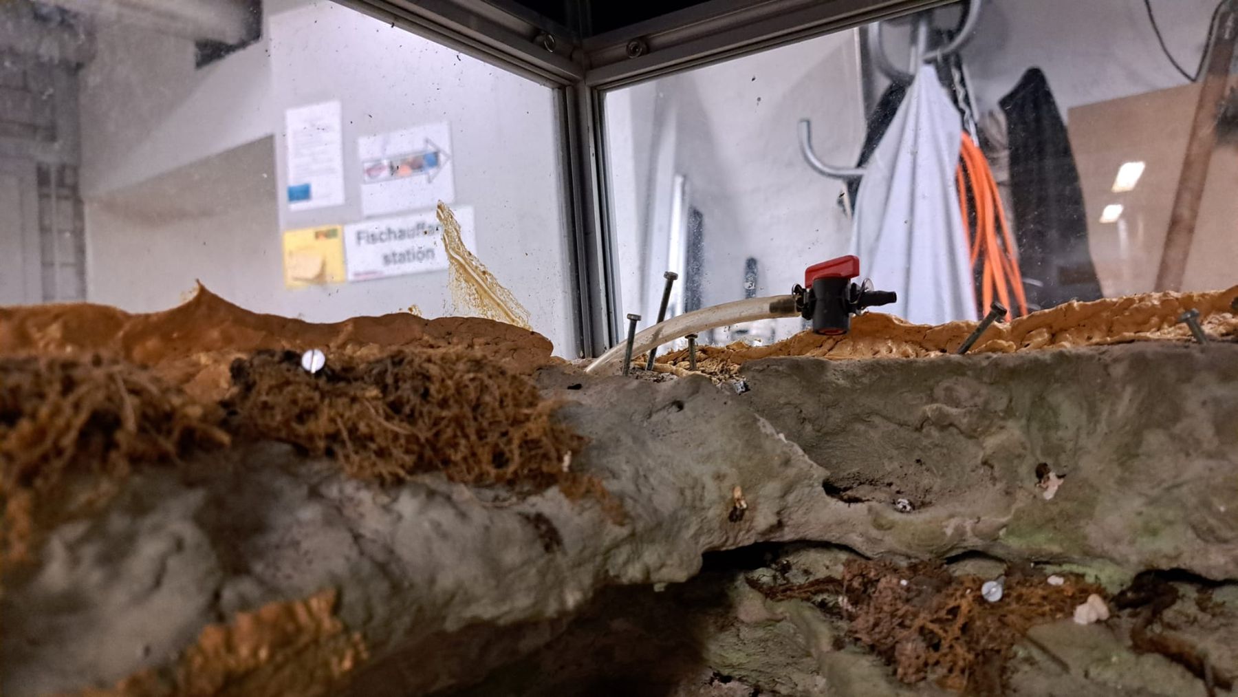 Terrarium: Terrarium – Gebraucht aus Oberentfelden von Myri13 6