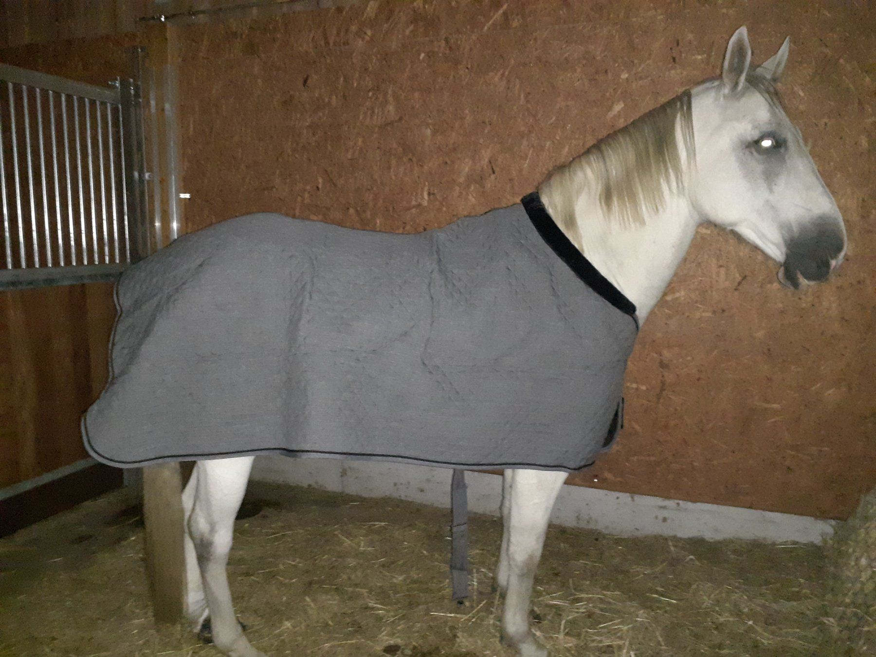 Coperte: NEUE Back on Track Pferdedecke 145cm – Nuovo (secondo la descrizione) da Widnau venduto da blackSkorpion88 5