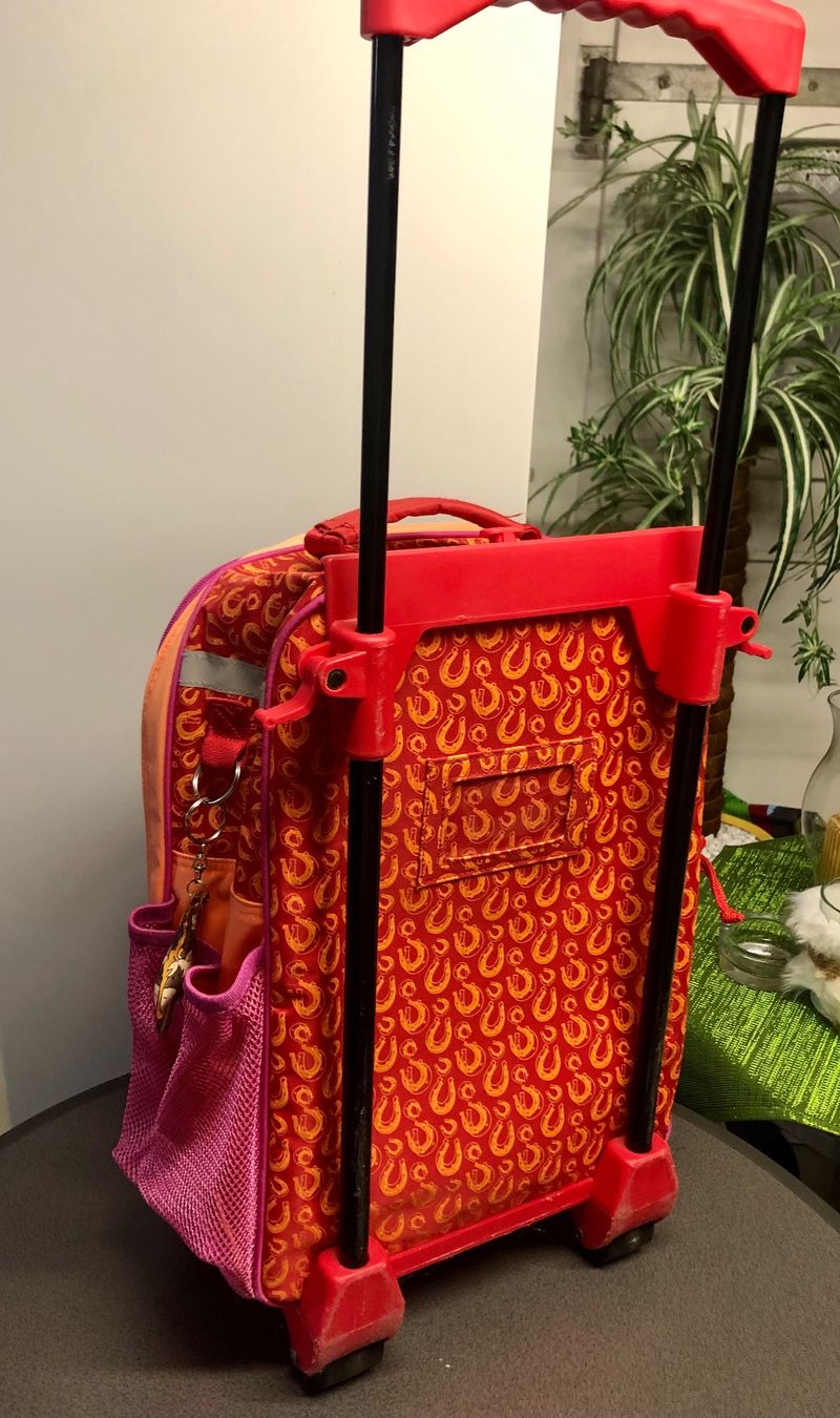 Valigie & Borse: Kinder Koffer Trolley zum rollen – Usato da Mümliswil venduto da littledogshop 1