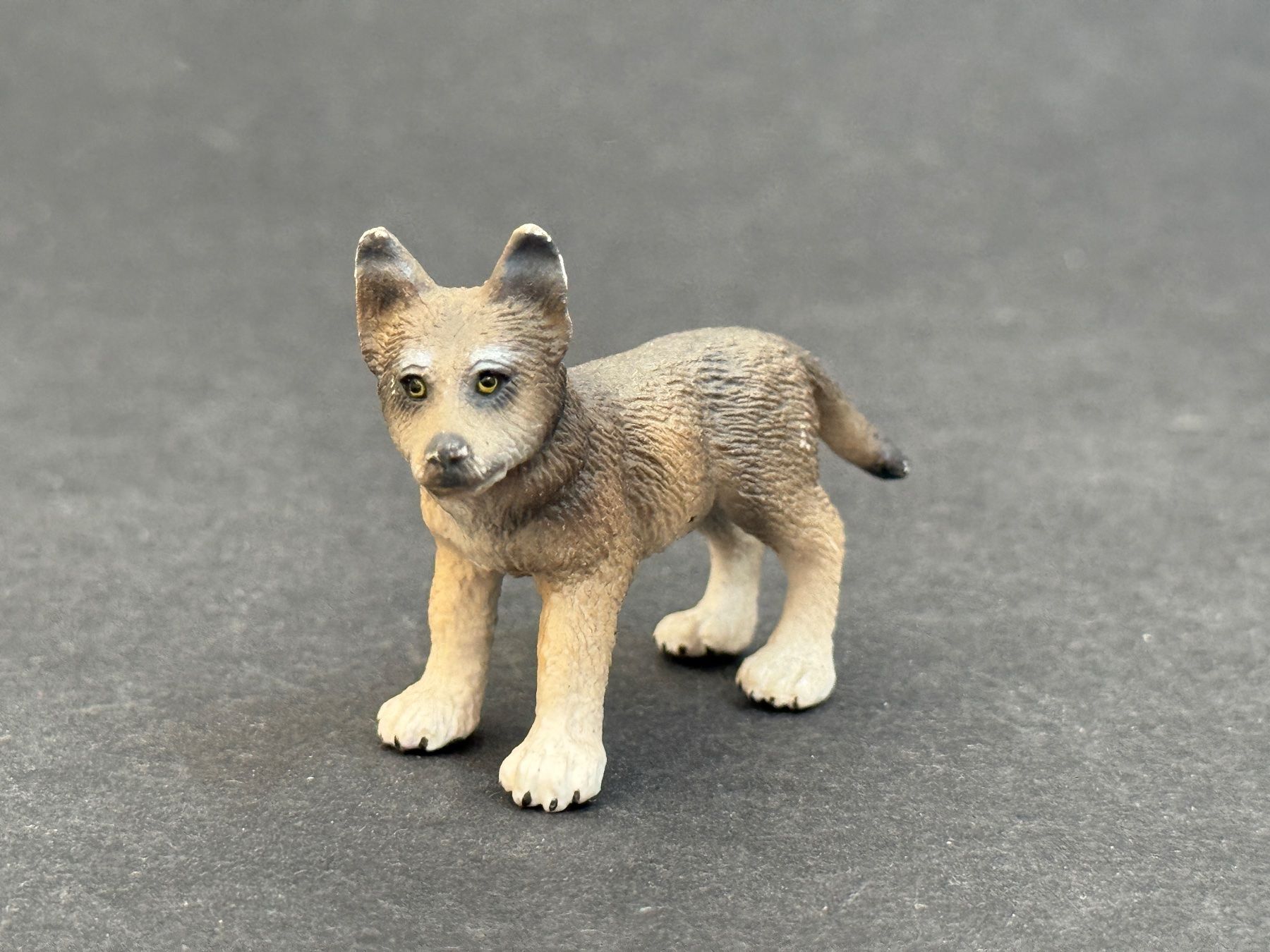 Schleich Statuette: Schleich Wolf Welpe Wölfe – Usato da Ennetbaden venduto da mapa05 2