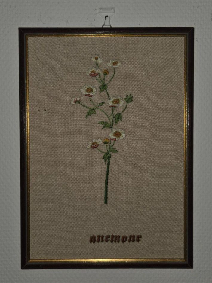 Dipinti: Broderie - Anémone - 32 x 23 cm – Usato da Plan-les-Ouates venduto da NomadeMarchand 1