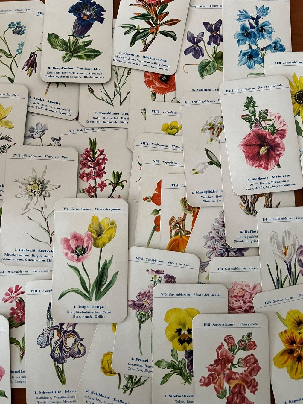 Spiele: Antique quadrille de fleurs / Blumen-Quartett – Gebraucht aus Petit-Lancy von Hastala42 1