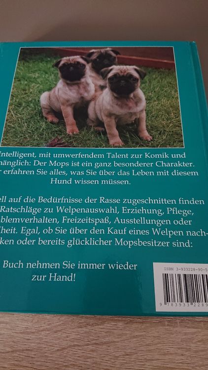 Der Mops unser Hund | Kaufen auf Ricardo