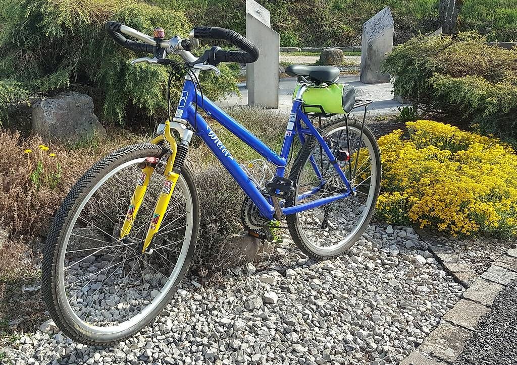 Biciclette: Damenvelo 26" Zoll – Usato da Mandach venduto da SilkeW01