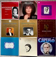 22 LPs GROSSE STIMMEN gepflegter Zustand Top Interpreten