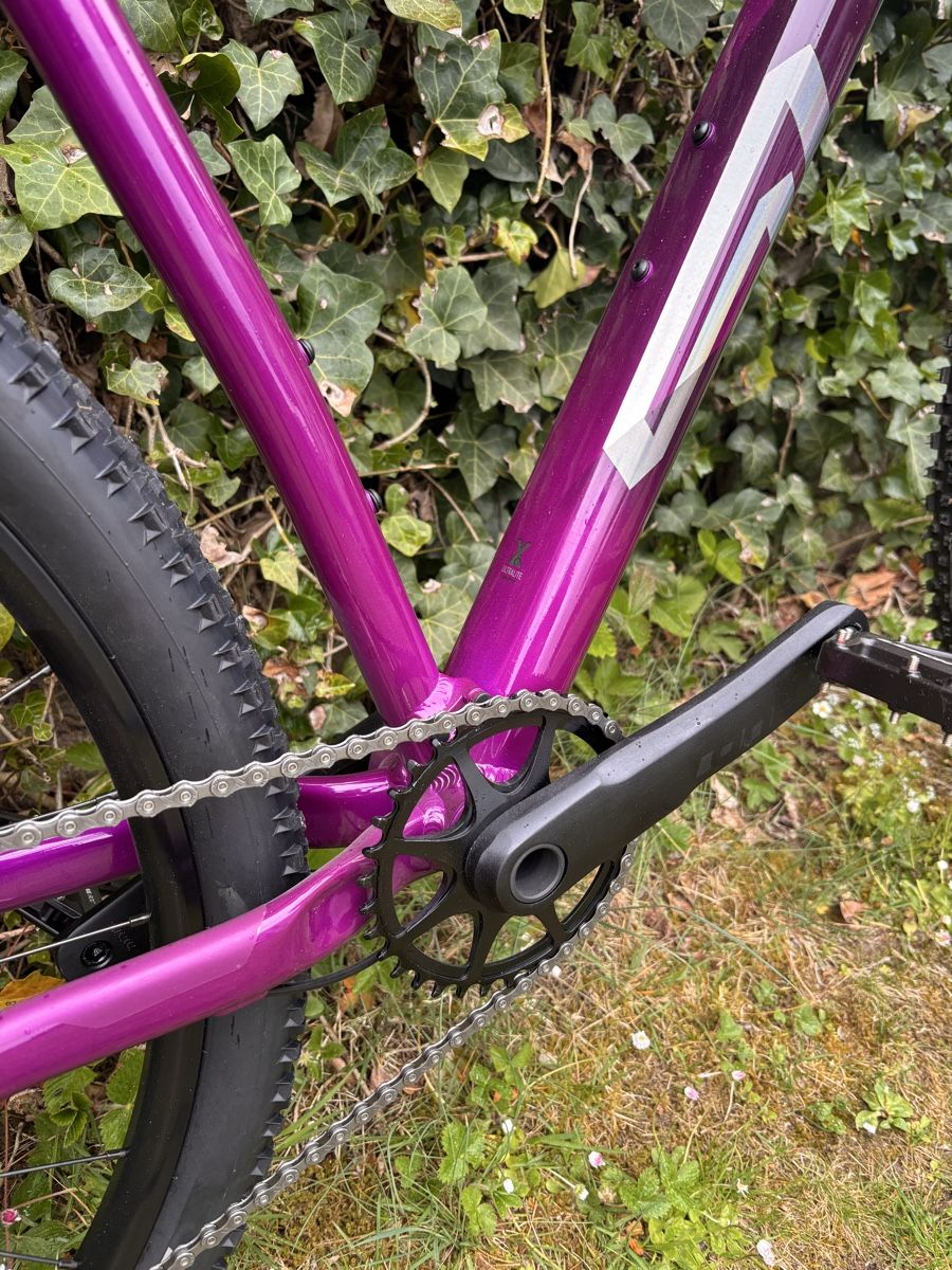 Biciclette: Mountain Bike – Nuovo (secondo la descrizione) da Ettenhausen TG venduto da Alessia. 2