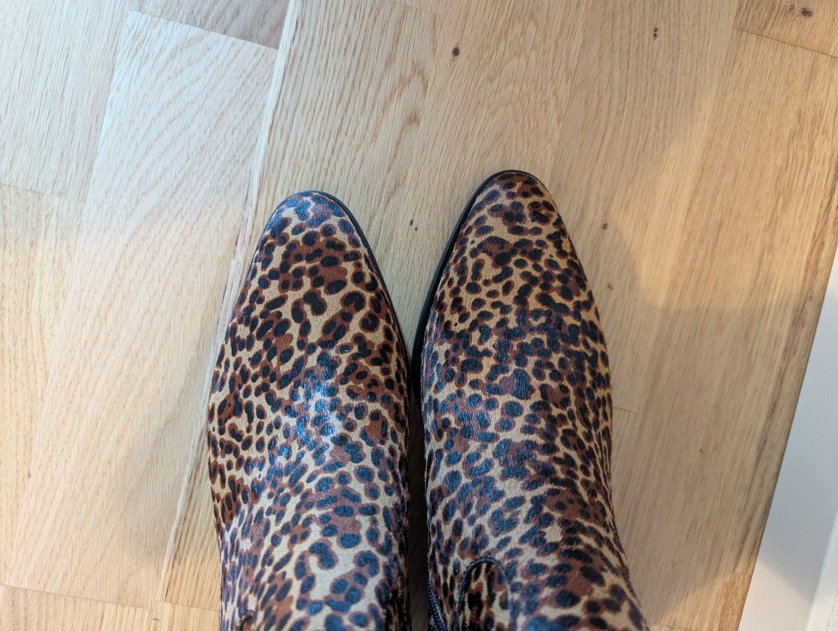 Ash Scarpe da donna: News Boots by Ash, 39 – Nuovo e nell'imballaggio originale da Bern venduto da tym_k7bc 2