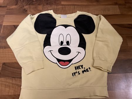 Pullover Disneys baby von Zara Grösse 3-4 Y / 104 cm