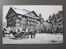 GSTAAD - HOTEL BERNERHOF - PFERDE MIT SCHLITTEN
