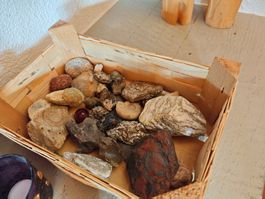 Fossilien, Kristalle und schöne Steine