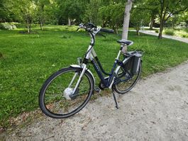 E-Bike 28 Zoll | Giant | 2 Akkus | Nexus 8-Gang | Fahrbereit