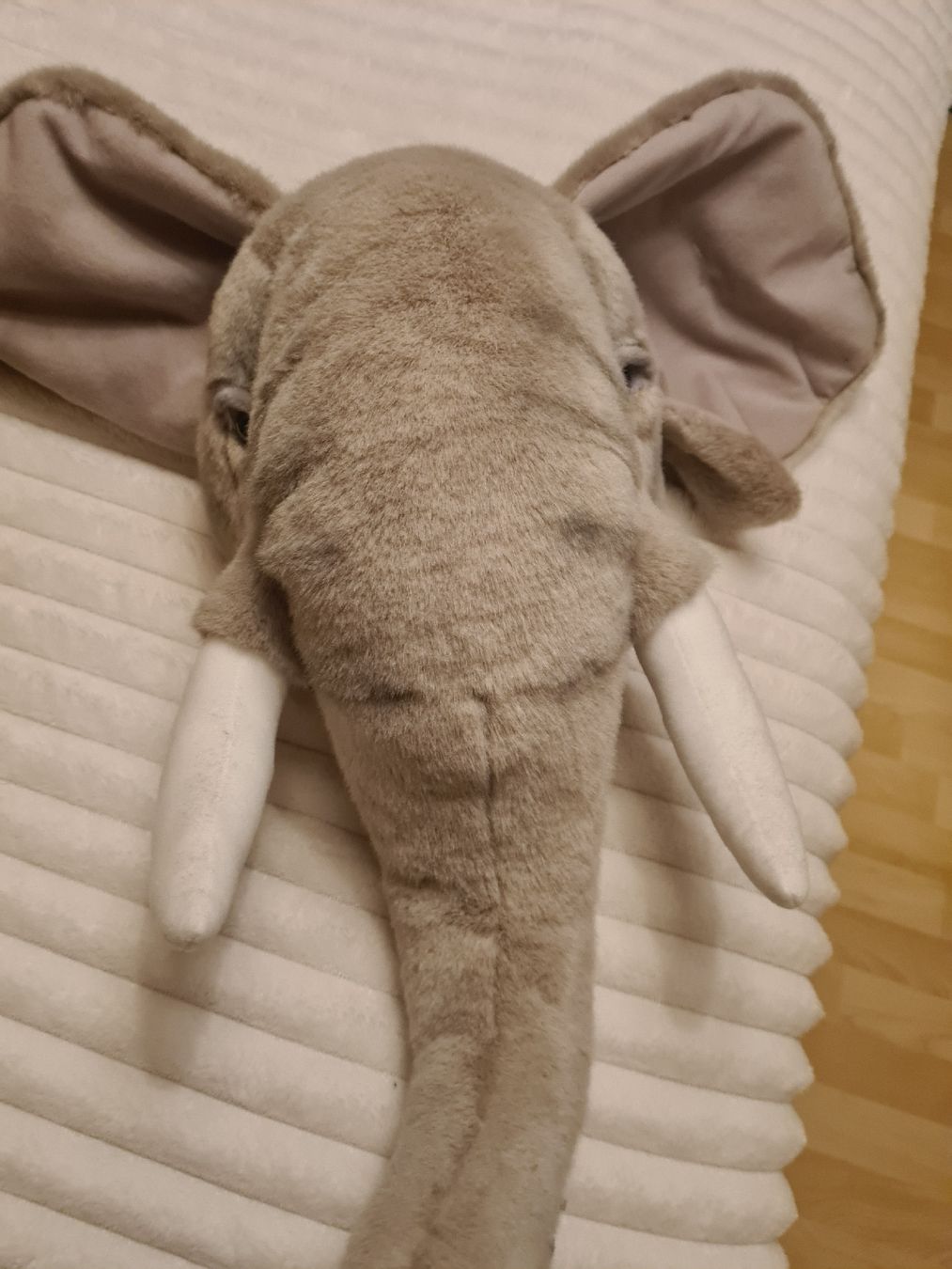 Tutte le decorazioni: wunderschöne Kuscheltierköpfe Wanddeko – Usato da Büttikon AG venduto da bluehim74 1