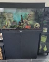 Juwel Aquarium mit Unterschrank