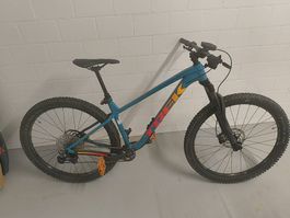 Mountainbike Trek Roscoe 7