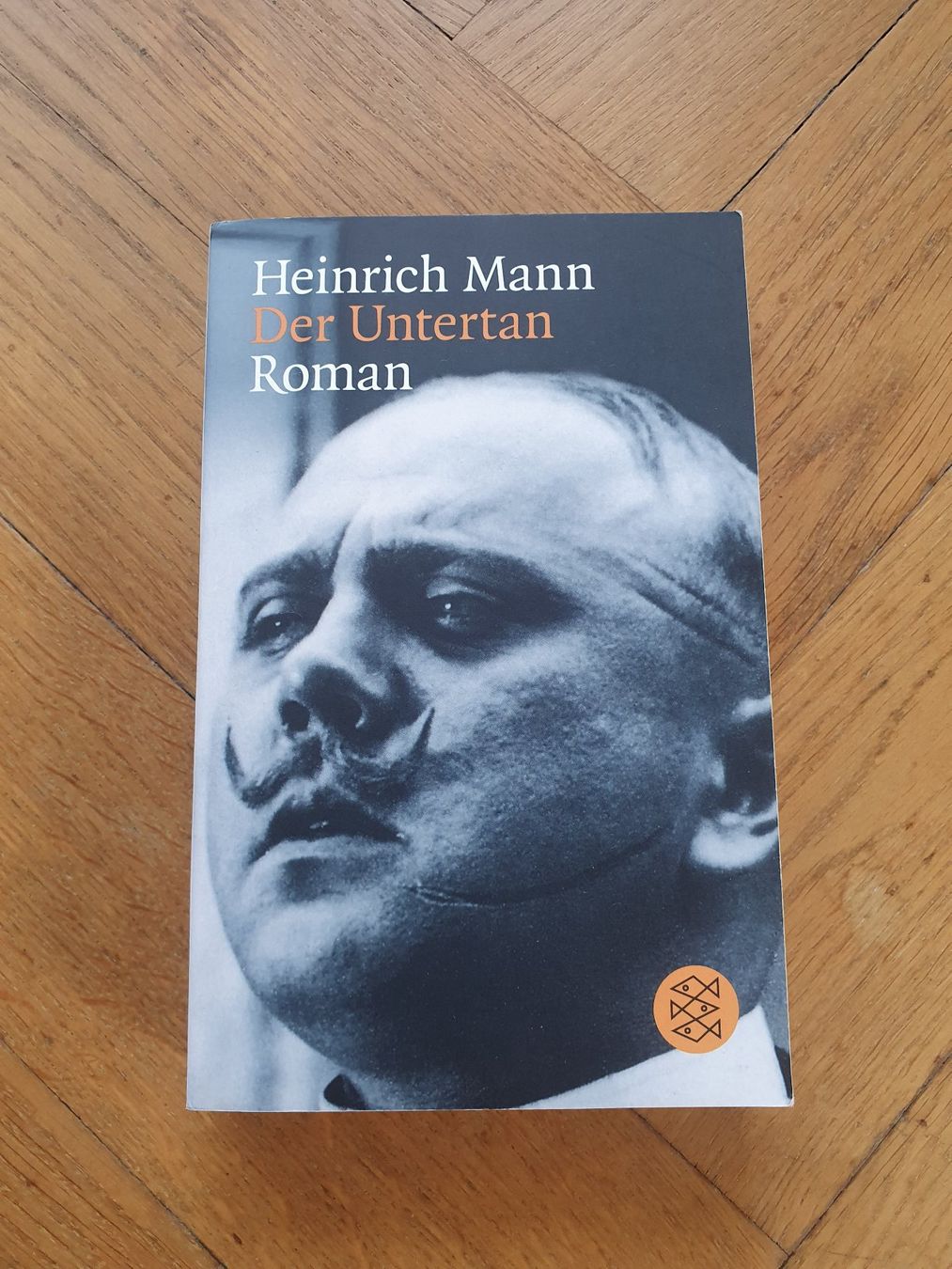 Libri: Buch "Der Untertan" – Usato da Bern venduto da soledurner