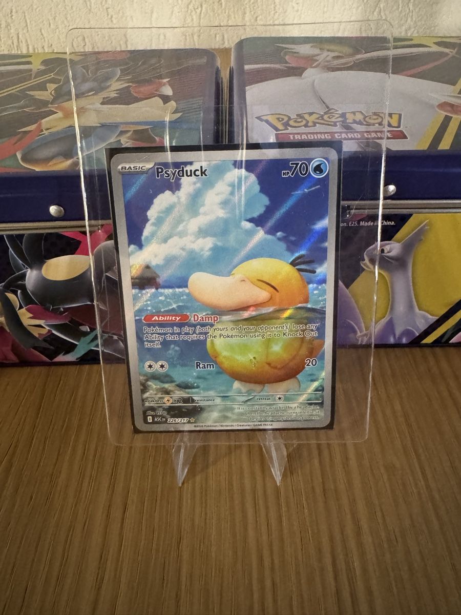 Pokémon Cartes à collectionner: Pokémon Psyduck - ASC – Neuf (Voir description) à Dübendorf par pat_n2n6