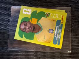 Panini João Pedro BRA 16 & viele mehr
