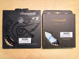 CAMPAGNOLO Super Record 12s Chainrings 53/39