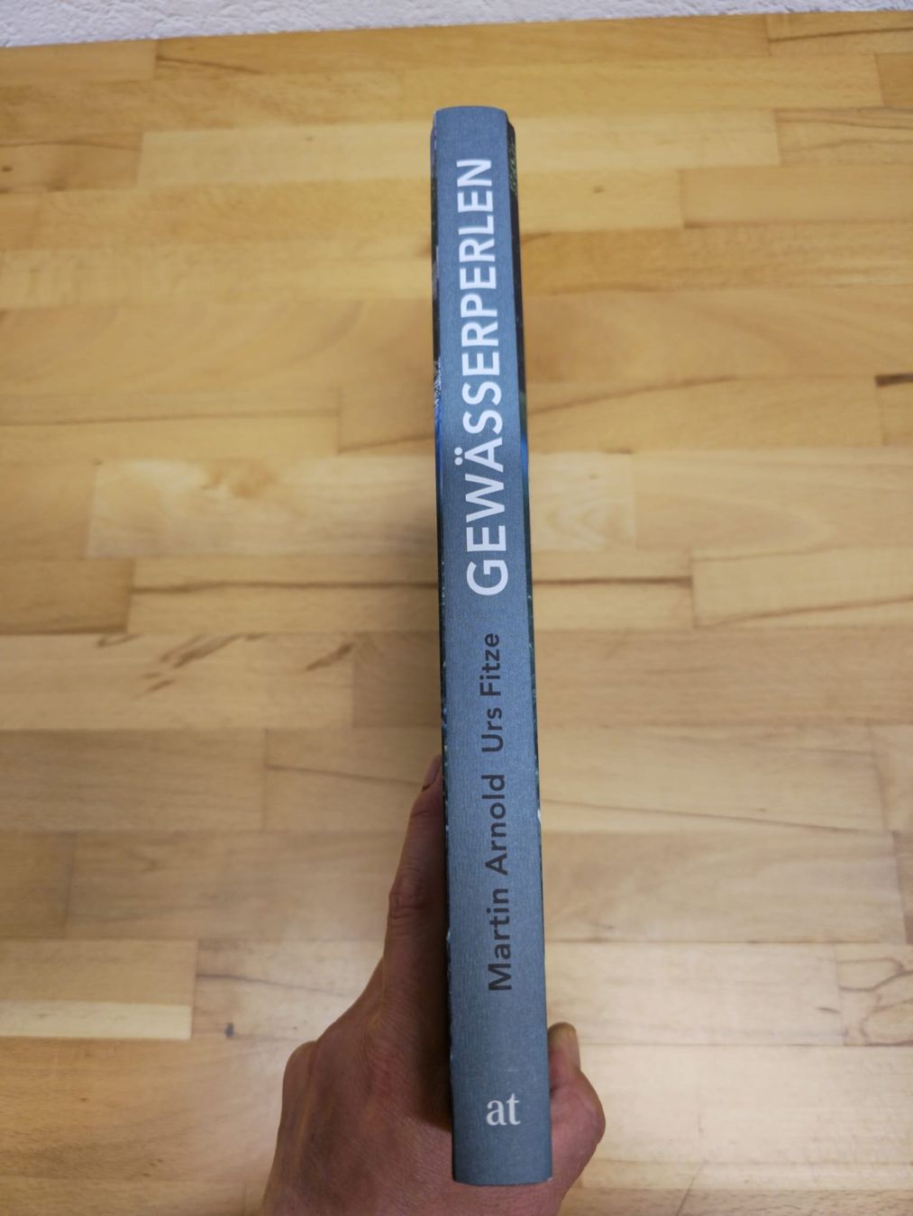 Libri: Buch Gewässerperlen Schweiz – Nuovo (secondo la descrizione) da Jonschwil venduto da ManuKell 2