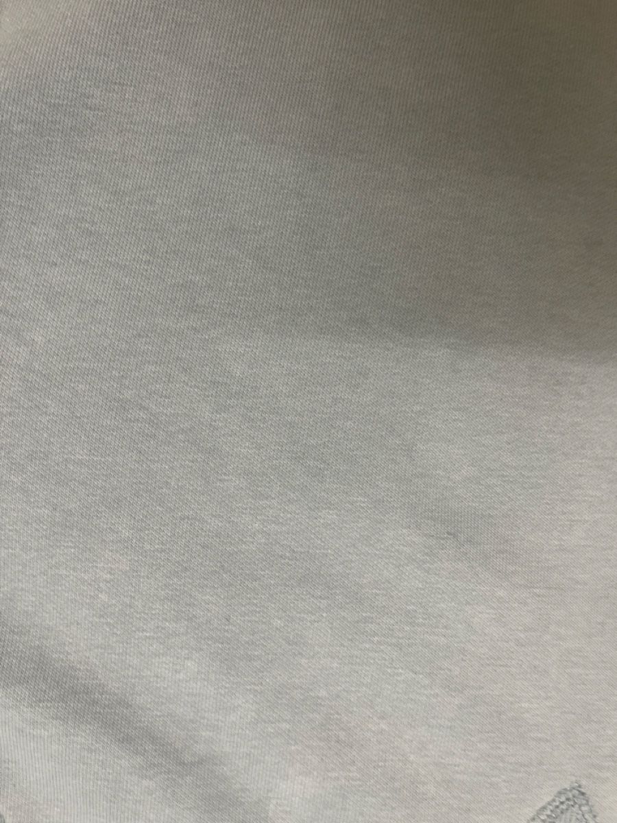 Carhartt Maglioni & Felpe: Hellblauer Carhartt Pullover M – Usato da Riehen venduto da but_x7zj 6