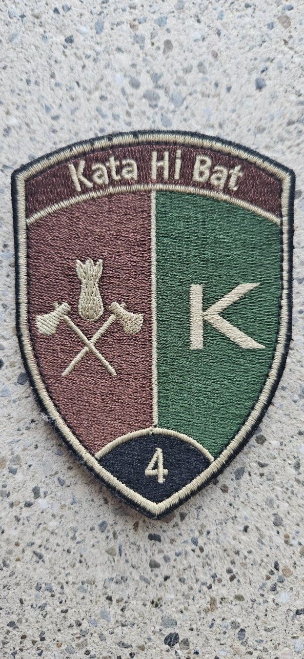 Schweizer Armee Placchette & Badge: *** Badge Kata Hi Bat 4 mit klett *** – Usato da Riedholz venduto da fr_sIruP